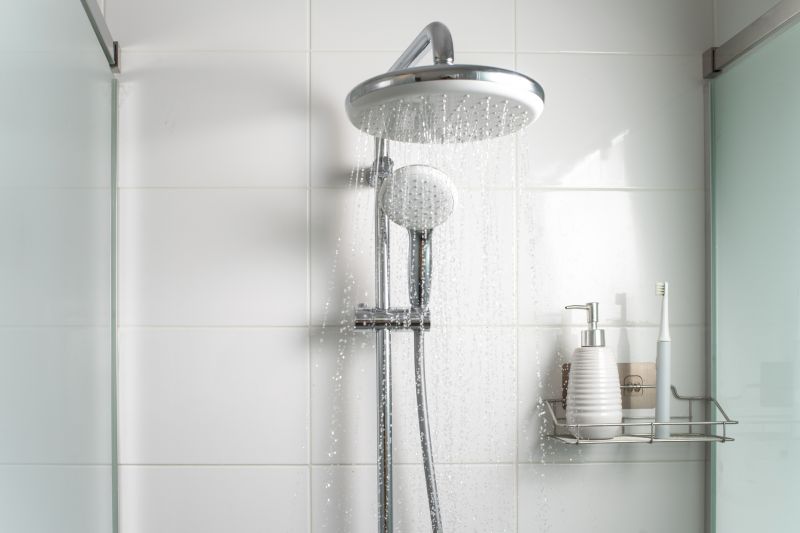 Rain Shower Head in a Spacious Shower